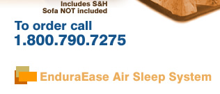 EnduraEase Air Mattress Sleep System